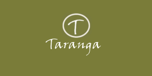 Client Logo 2